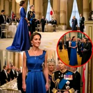 Royal Spotlight Shifts in Tokyo: Princess Catherine and Princess Anne Captivate at State Dinner