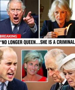 “CAMILLA DID IT” — Nearly 3 decades later, Charles Spencer drops an explosive bombshell that’s SHAKING the royal family to its core! After years of speculation, whispers, and unsaid words, Diana’s brother, Charles Spencer, has finally broken his silence with a jaw-dropping revelation. See full story here ⤵️