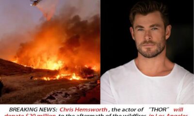 BREAKING NEWS: Chris Hemsworth, the actor of “THOR” announced that he will donate 20 million dollars to the aftermath of the wildfires in Los Angeles and he promised to support the most for babies and mothers and he also stood up to…