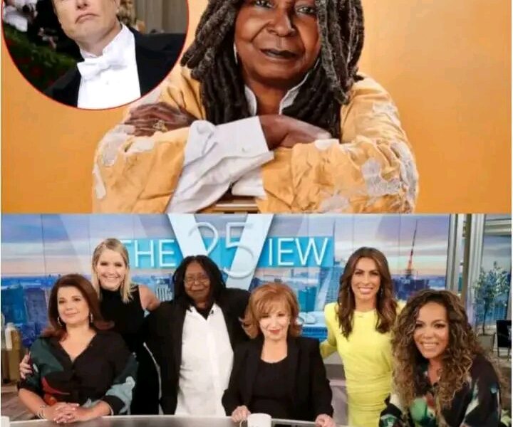 THRILLING: Elon Musk Called for a Boycott of The View, Labeling It “A Meeting Place for Ignorant Women.” The Entire Cast Responded Fiercely Immediately After 😂 see the bold statement here👇👇👇👇