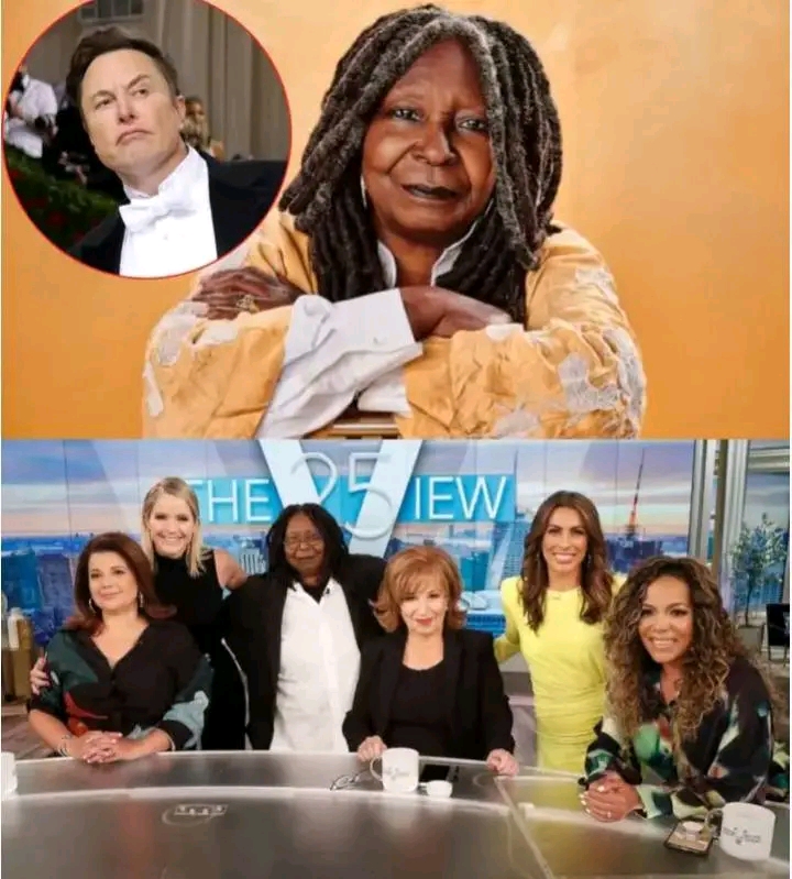 THRILLING: Elon Musk Called for a Boycott of The View, Labeling It “A Meeting Place for Ignorant Women.” The Entire Cast Responded Fiercely Immediately After 😂 see the bold statement here👇👇👇👇