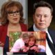 BREAKING NEWS: Joy Behar fined $30 million and loses major contracts after calling Elon Musk a “bastard” on The View. Musk’s response left Joy Behar speechless. FULL STORY: