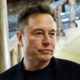 Elon Musk says he plans to double the size of his DOGE staff as his budget-cutting team faces growing pushback not only from the courts and congressional Democrats, but also from members of President Trump's Cabinet.