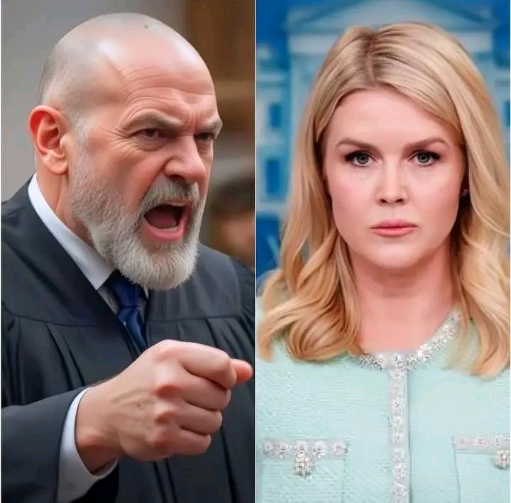 Judge Fined Leavitt $100K for Insulting Biden, 7 Minutes Later, Bondi Cuffed Him