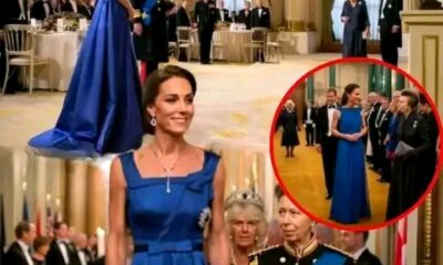 Royal Spotlight Shifts in Tokyo: Princess Catherine and Princess Anne Captivate at State Dinner