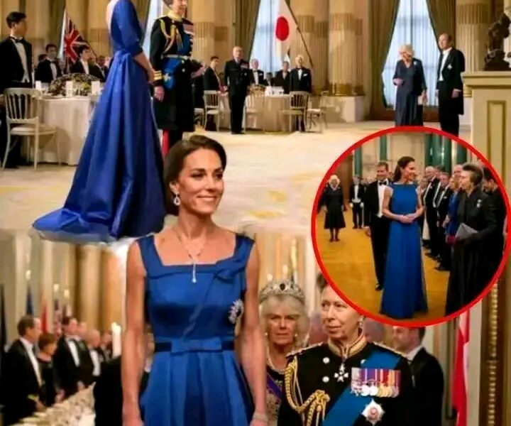 Royal Spotlight Shifts in Tokyo: Princess Catherine and Princess Anne Captivate at State Dinner
