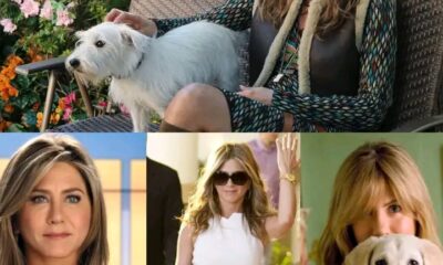 Jennifer Aniston Admits She Talks to a Tree in Her Backyard — Fans Shocked, But Her Emotional Explanation Will Break Your Heart and Change How You See Her Forever! Is This the Most Wholesome Hollywood Secret Yet? Full story ⤵️⤵️