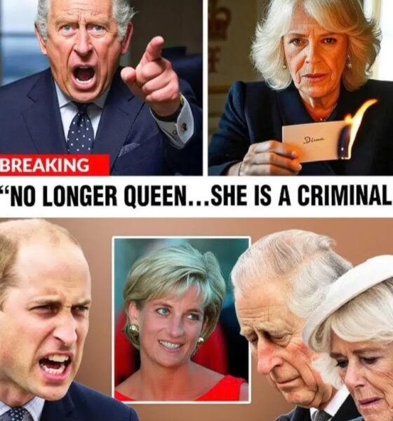 “CAMILLA DID IT” — Nearly 3 decades later, Charles Spencer drops an explosive bombshell that’s SHAKING the royal family to its core! After years of speculation, whispers, and unsaid words, Diana’s brother, Charles Spencer, has finally broken his silence with a jaw-dropping revelation. See full story here ⤵️