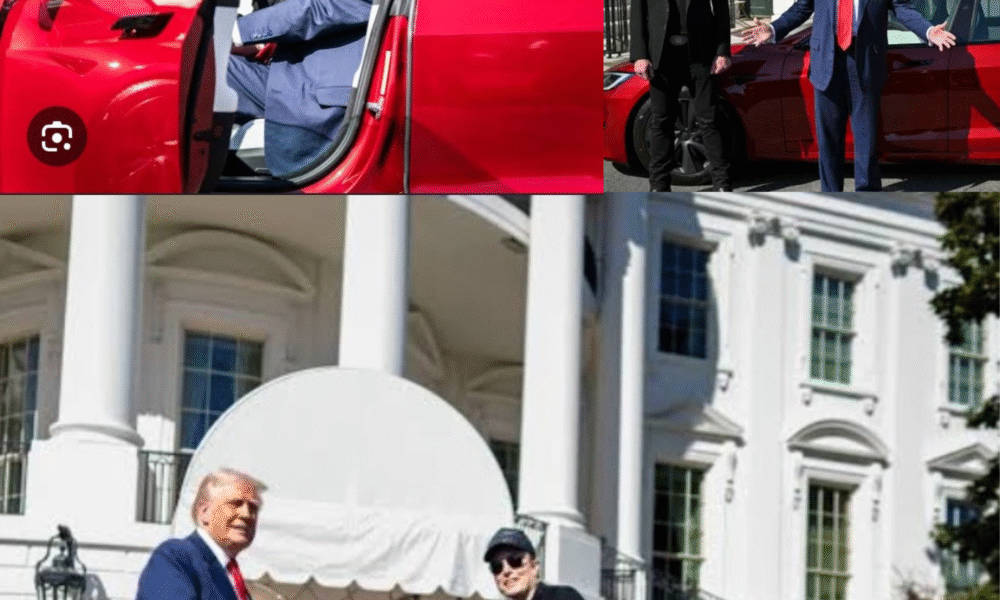 Elon Musk and Donald Trump Feel Energized as They Share a Thrilling New Experience with a Sleek New Car.....Full Details Here ⤵️⤵️