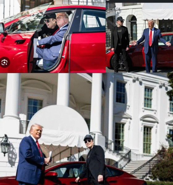 Elon Musk and Donald Trump Feel Energized as They Share a Thrilling New Experience with a Sleek New Car.....Full Details Here ⤵️⤵️